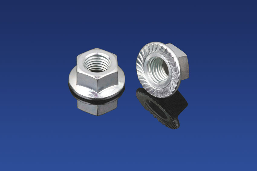 Hex Nuts